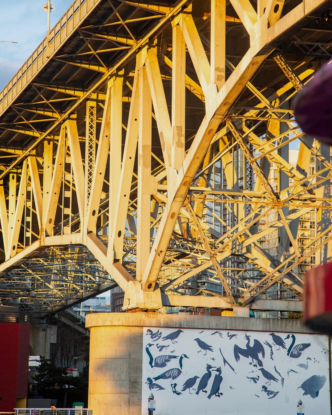 The steel underside of a Vancouver bridge in warm light